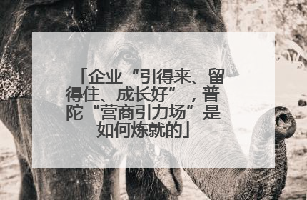 企业“引得来、留得住、成长好”，普陀“营商引力场”是如何炼就的