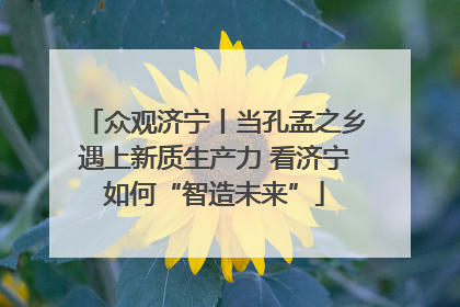 众观济宁丨当孔孟之乡遇上新质生产力 看济宁如何“智造未来”