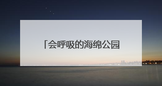 会呼吸的海绵公园来了！杨浦新江湾城7.35公顷生态空间改造焕新