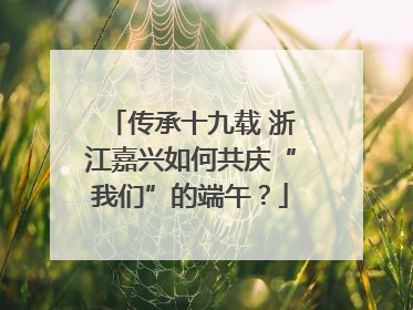 传承十九载 浙江嘉兴如何共庆“我们”的端午？