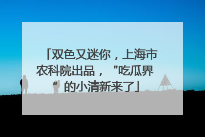 双色又迷你，上海市农科院出品，“吃瓜界”的小清新来了