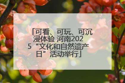 可看、可玩、可沉浸体验 河南2025“文化和自然遗产日”活动举行