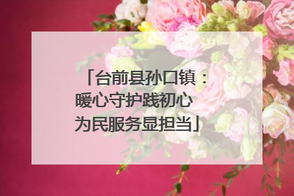 台前县孙口镇：暖心守护践初心 为民服务显担当