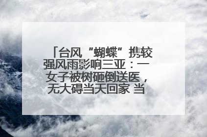 台风“蝴蝶”携较强风雨影响三亚：一女子被树砸倒送医，无大碍当天回家 当地已紧急清障