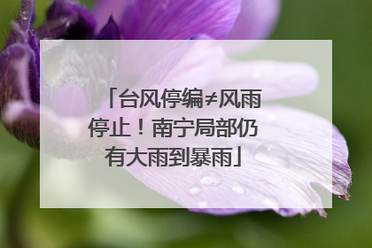 台风停编≠风雨停止！南宁局部仍有大雨到暴雨