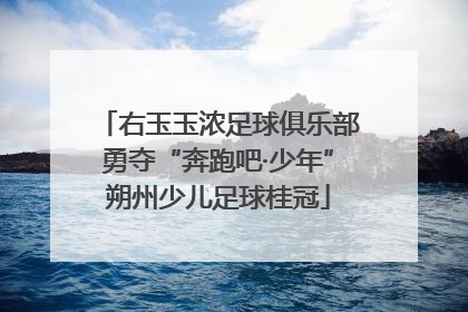 右玉玉浓足球俱乐部勇夺“奔跑吧·少年”朔州少儿足球桂冠