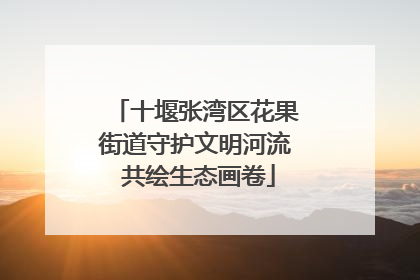 十堰张湾区花果街道守护文明河流 共绘生态画卷