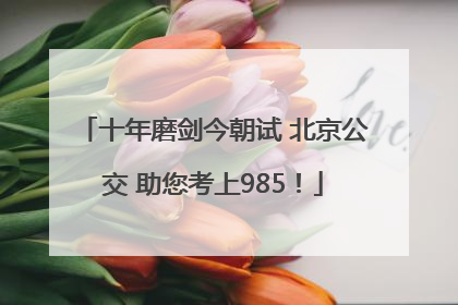 十年磨剑今朝试 北京公交 助您考上985！