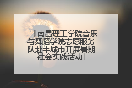 南昌理工学院音乐与舞蹈学院志愿服务队赴丰城市开展暑期社会实践活动