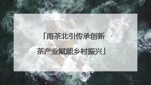 南茶北引传承创新 茶产业赋能乡村振兴