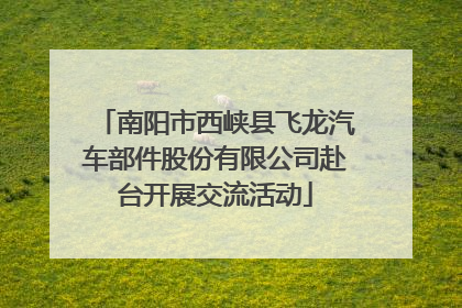 南阳市西峡县飞龙汽车部件股份有限公司赴台开展交流活动