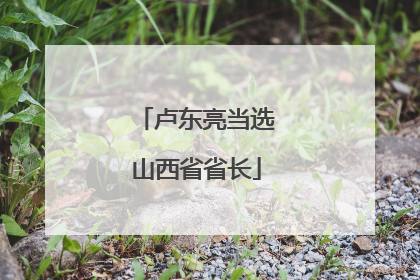 卢东亮当选山西省省长