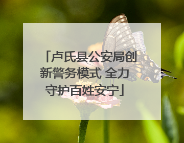卢氏县公安局创新警务模式 全力守护百姓安宁