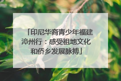 印尼华裔青少年福建漳州行：感受祖地文化和侨乡发展脉搏