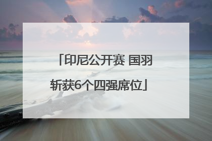 印尼公开赛 国羽斩获6个四强席位