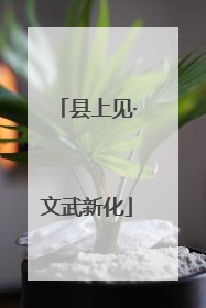县上见·文武新化