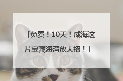 免费！10天！威海这片宝藏海湾放大招！