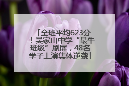 全班平均623分！吴家山中学“最牛班级”刷屏，48名学子上演集体逆袭