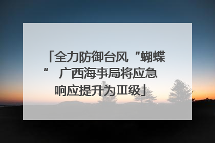 全力防御台风“蝴蝶” 广西海事局将应急响应提升为Ⅲ级