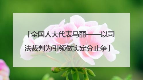 全国人大代表马丽——以司法裁判为引领做实定分止争