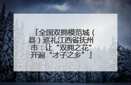 全国双拥模范城（县）巡礼江西省抚州市：让“双拥之花”开遍“才子之乡”