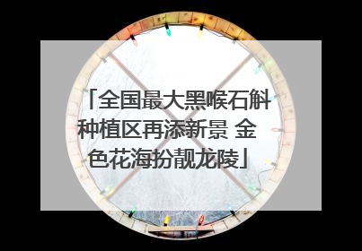 全国最大黑喉石斛种植区再添新景 金色花海扮靓龙陵