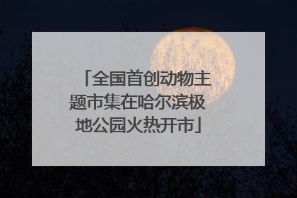 全国首创动物主题市集在哈尔滨极地公园火热开市