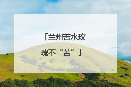 兰州苦水玫瑰不“苦”