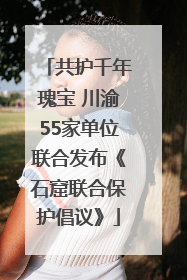 共护千年瑰宝 川渝55家单位联合发布《石窟联合保护倡议》