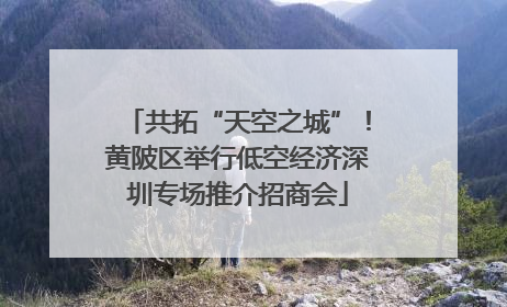 共拓“天空之城”！黄陂区举行低空经济深圳专场推介招商会