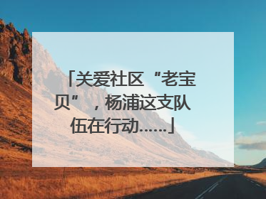 关爱社区“老宝贝”，杨浦这支队伍在行动……