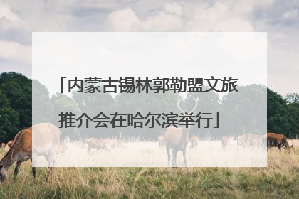 内蒙古锡林郭勒盟文旅推介会在哈尔滨举行