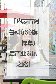 内蒙古阿鲁科尔沁旗：一棵草开启产业发展之路