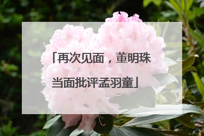 再次见面，董明珠当面批评孟羽童