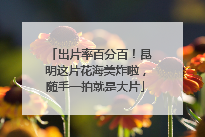 出片率百分百！昆明这片花海美炸啦，随手一拍就是大片
