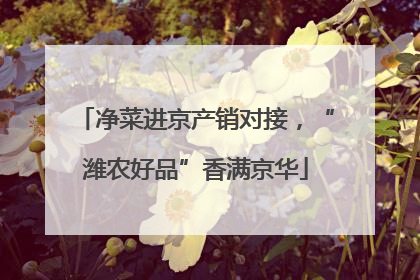 净菜进京产销对接，“潍农好品”香满京华