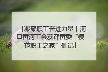 凝聚职工奋进力量｜河口黄河工会获评黄委“模范职工之家”侧记
