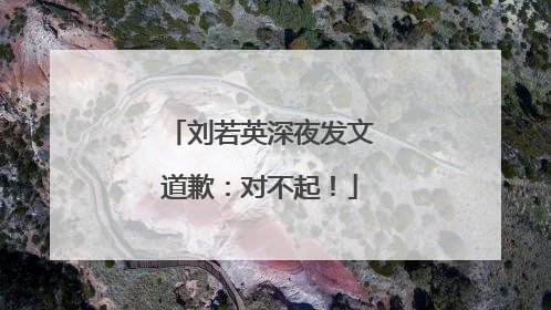 刘若英深夜发文道歉：对不起！
