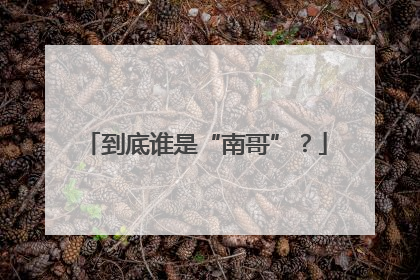 到底谁是“南哥”？