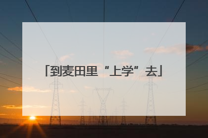 到麦田里“上学”去