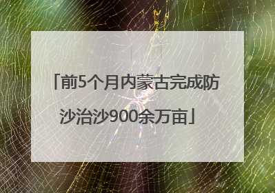 前5个月内蒙古完成防沙治沙900余万亩
