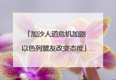 加沙人道危机加剧 以色列盟友改变态度