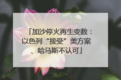 加沙停火再生变数：以色列“接受”美方案、哈马斯不认可