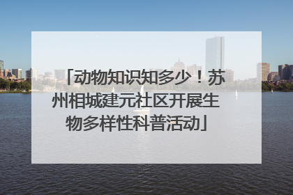 动物知识知多少！苏州相城建元社区开展生物多样性科普活动