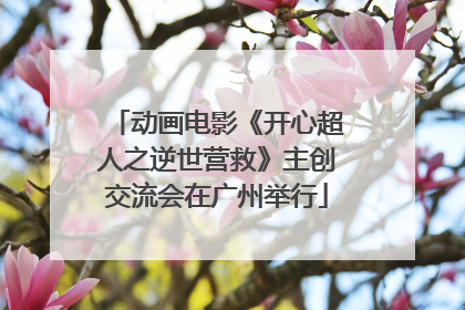 动画电影《开心超人之逆世营救》主创交流会在广州举行