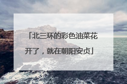 北三环的彩色油菜花开了，就在朝阳安贞