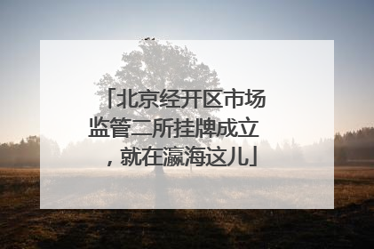 北京经开区市场监管二所挂牌成立，就在瀛海这儿