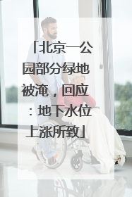 北京一公园部分绿地被淹，回应：地下水位上涨所致