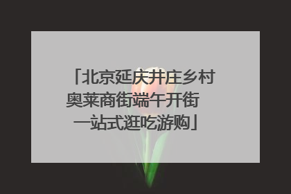 北京延庆井庄乡村奥莱商街端午开街 一站式逛吃游购