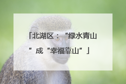 北湖区：“绿水青山”成“幸福靠山”